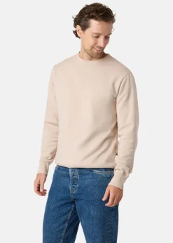 College Sweater