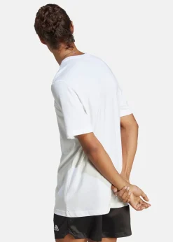 M SL SJ T